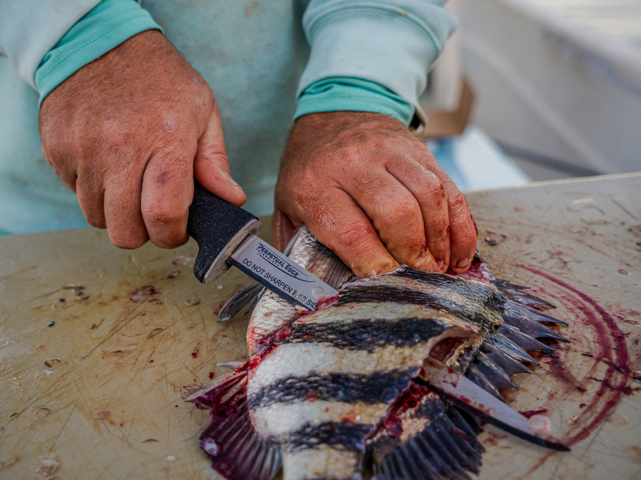 Inshore Set