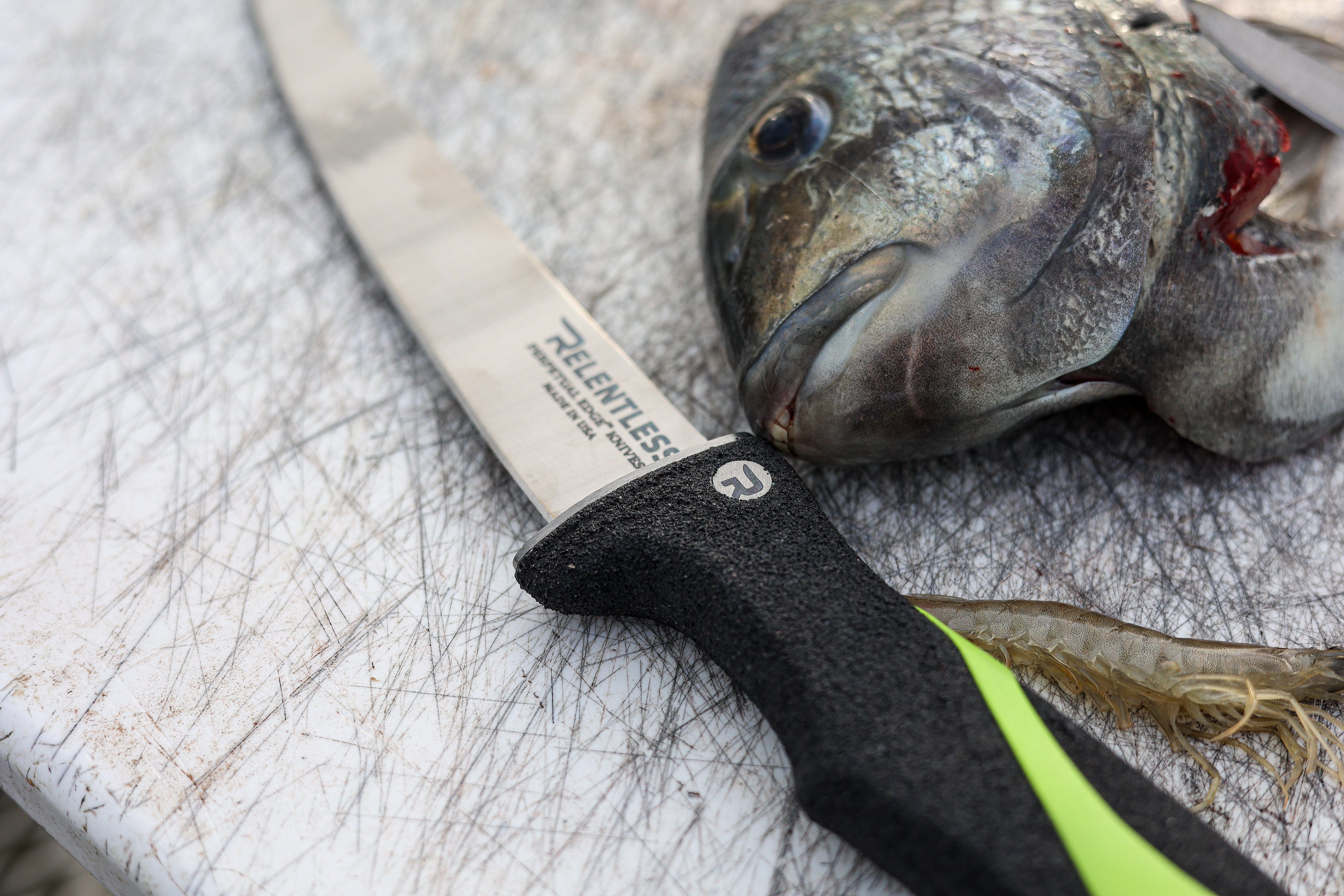 7″ Curved Fillet Knife