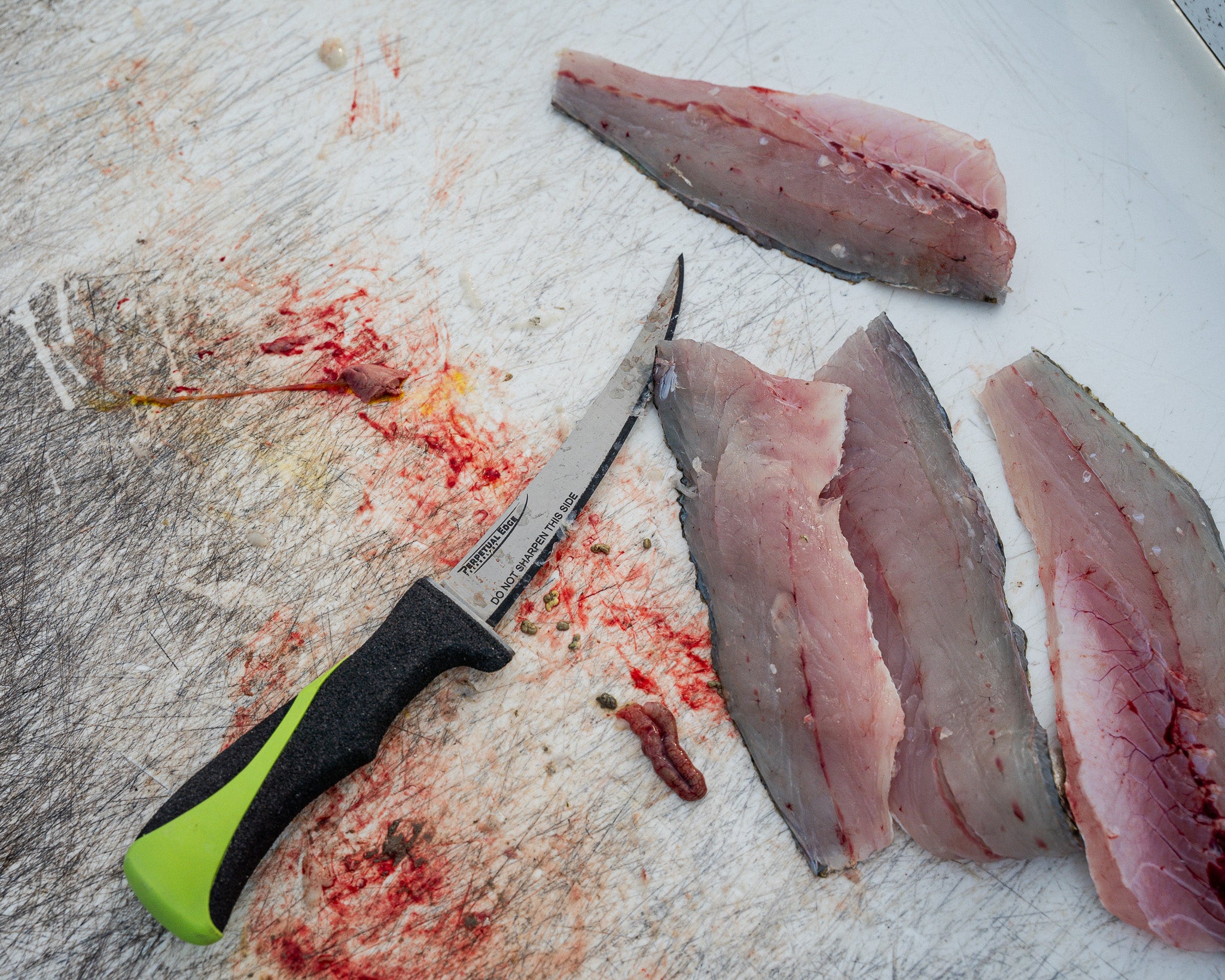 7″ Curved Fillet Knife