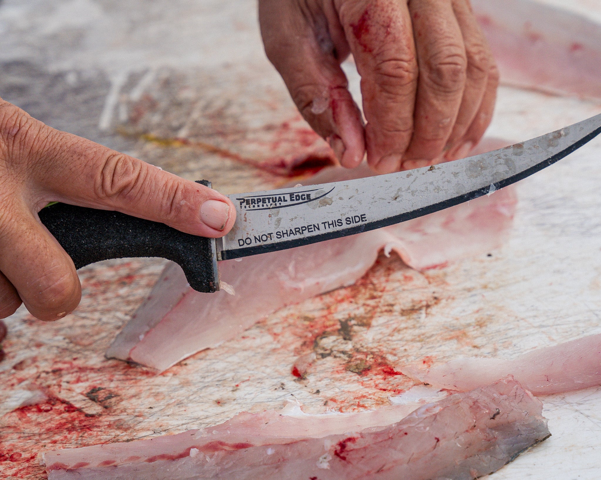 7″ Curved Fillet Knife