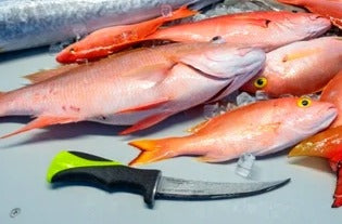 Inshore Set
