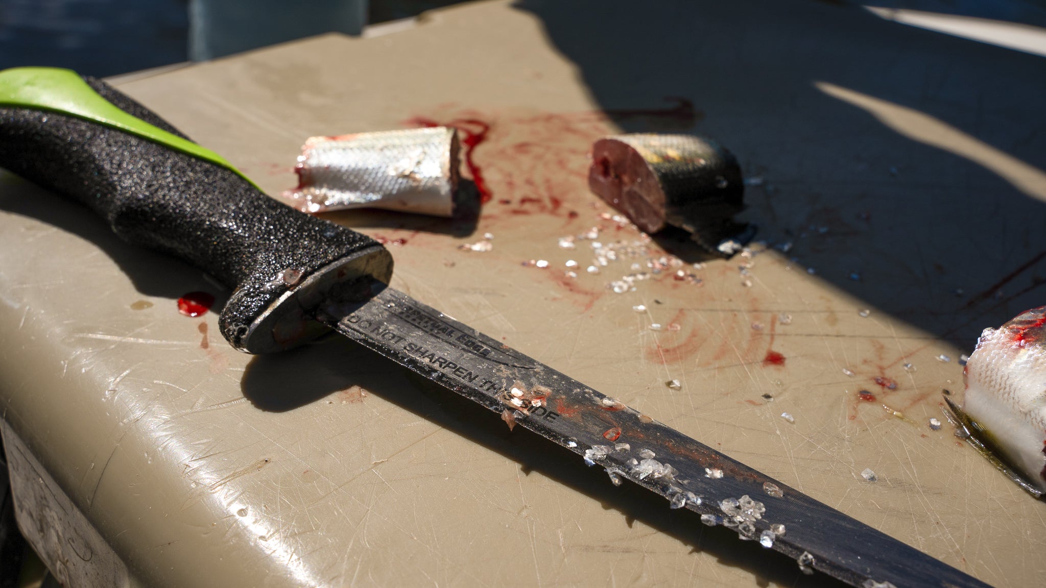 10″ Straight Fillet Knife