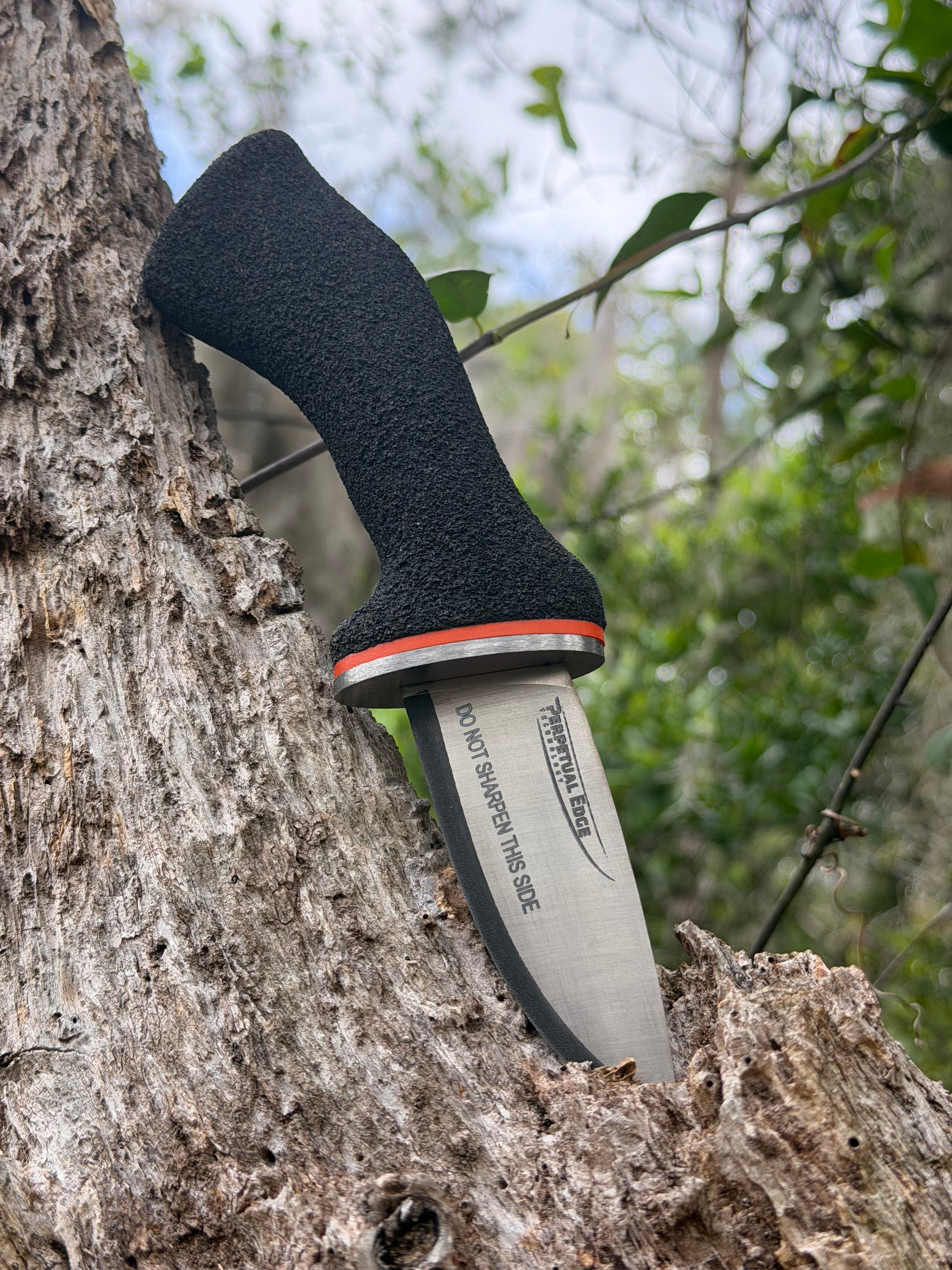 Game Changer I - 3.6" Titanium Drop Point Hunting Knife
